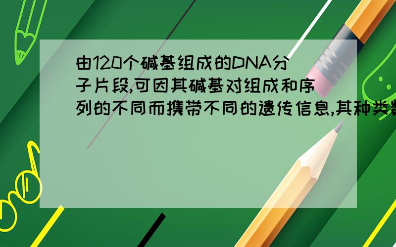 由120个碱基组成的DNA分子片段,可因其碱基对组成和序列的不同而携带不同的遗传信息,其种类数量最多可达A.4120 B.1204 C.460 D.604