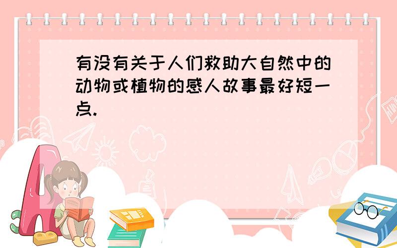 有没有关于人们救助大自然中的动物或植物的感人故事最好短一点.