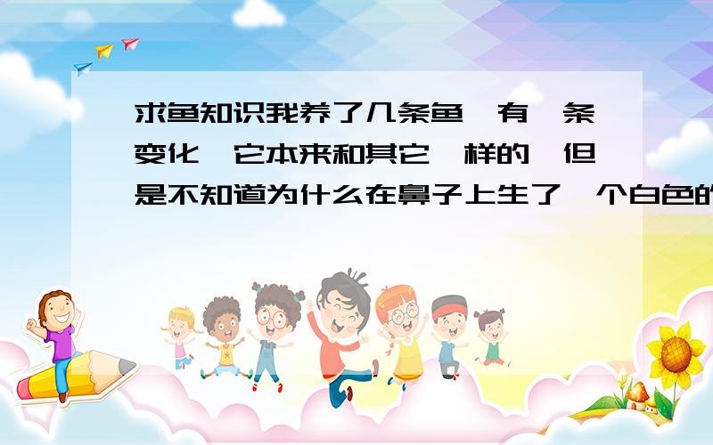 求鱼知识我养了几条鱼,有一条变化,它本来和其它一样的,但是不知道为什么在鼻子上生了一个白色的包,还变黑了,为什么,是不是鱼类的癌症?