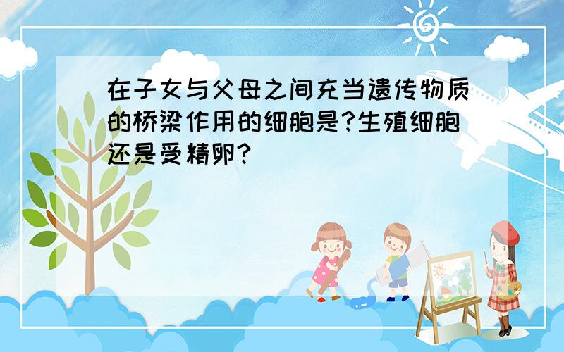 在子女与父母之间充当遗传物质的桥梁作用的细胞是?生殖细胞还是受精卵?