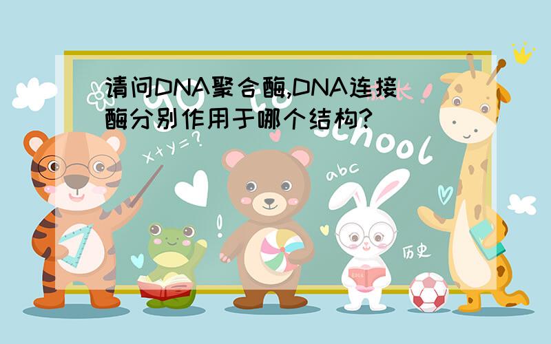 请问DNA聚合酶,DNA连接酶分别作用于哪个结构?