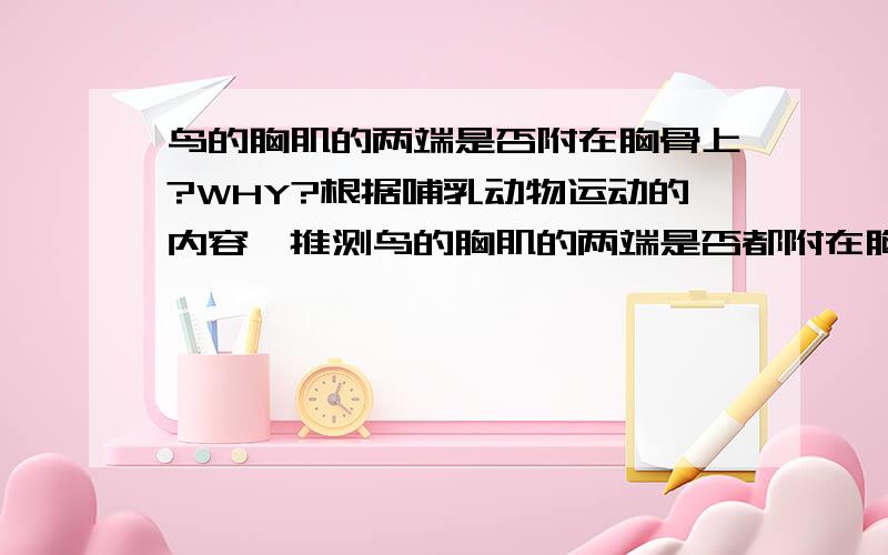 鸟的胸肌的两端是否附在胸骨上?WHY?根据哺乳动物运动的内容,推测鸟的胸肌的两端是否都附在胸骨上?原因是?我看了其他人的答案,感觉都不太对.