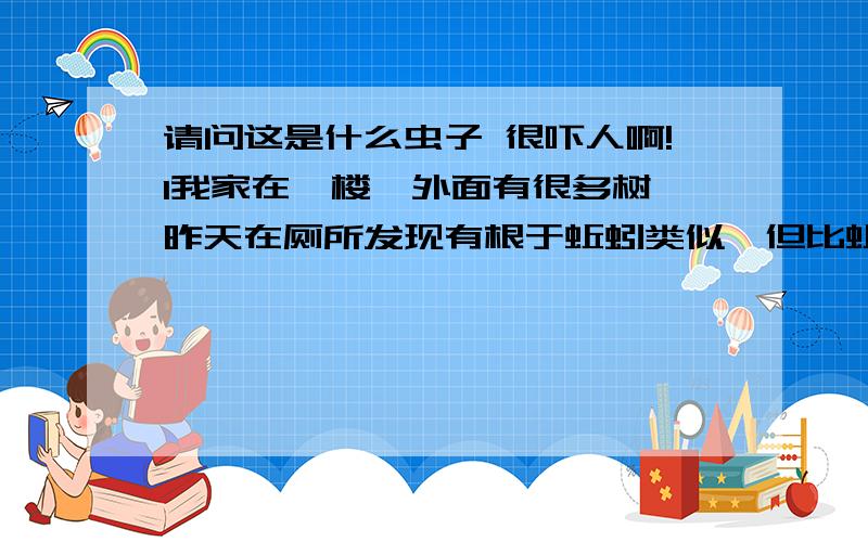 请问这是什么虫子 很吓人啊!1我家在一楼,外面有很多树,昨天在厕所发现有根于蚯蚓类似,但比蚯蚓还长还粗,全身光滑,有一个头,头跟躯干的节点（交接处）呈透明状,遇热水可以蹦的很高,很