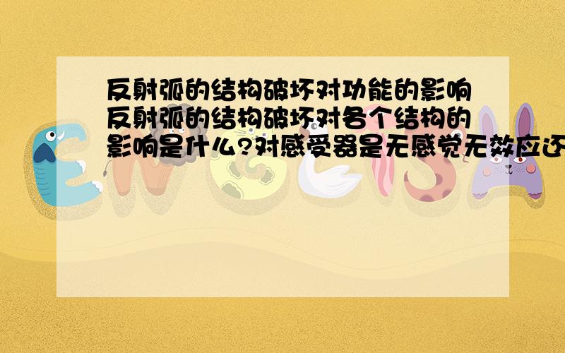 反射弧的结构破坏对功能的影响反射弧的结构破坏对各个结构的影响是什么?对感受器是无感觉无效应还是无感觉有效应?其他结构怎么样呢?