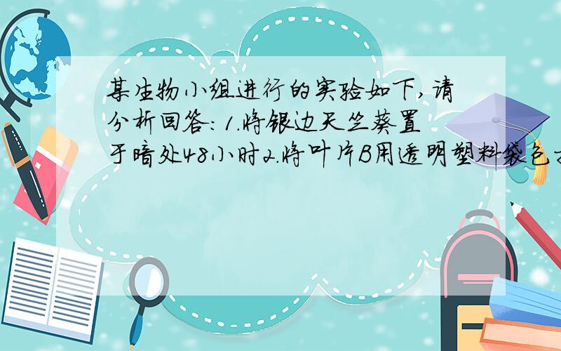 某生物小组进行的实验如下,请分析回答：1.将银边天竺葵置于暗处48小时2.将叶片B用透明塑料袋包扎,塑料袋内放入适量的固体氢氧化钠3.将处理后的银边天竺葵移到阳光下2小时后摘取叶片A、