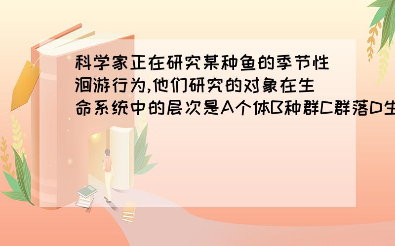 科学家正在研究某种鱼的季节性洄游行为,他们研究的对象在生命系统中的层次是A个体B种群C群落D生态系统