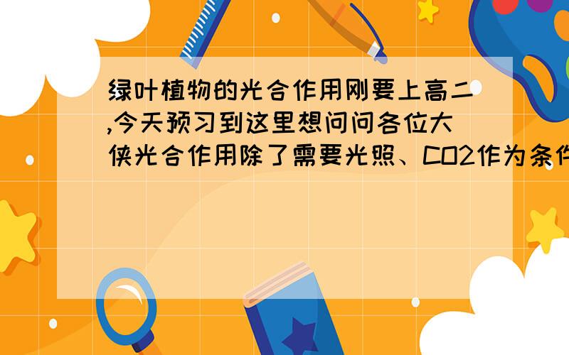 绿叶植物的光合作用刚要上高二,今天预习到这里想问问各位大侠光合作用除了需要光照、CO2作为条件外,一定会需要水的参与生成辅酶II才能继续反应吗?那如果在只有CO2和光照的情况下做实