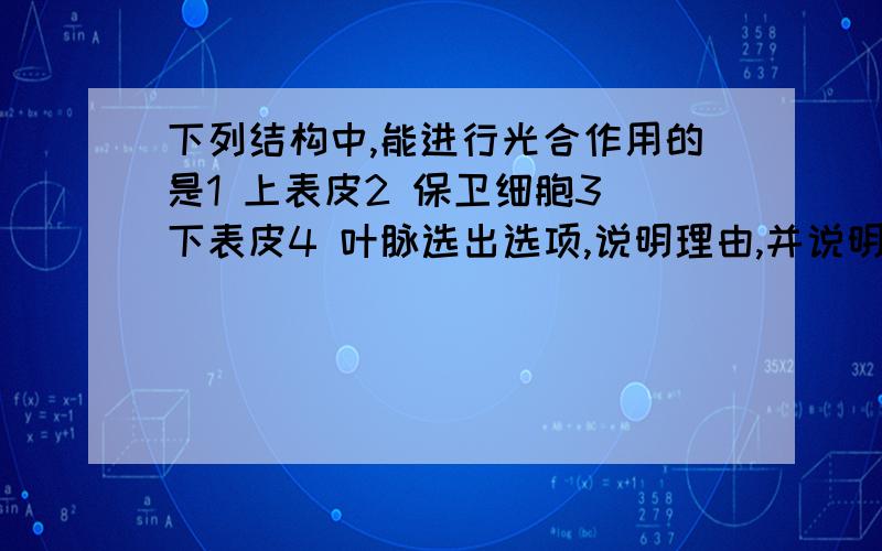 下列结构中,能进行光合作用的是1 上表皮2 保卫细胞3 下表皮4 叶脉选出选项,说明理由,并说明其他物质的作用