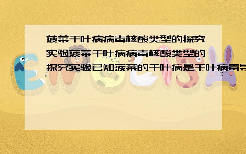 菠菜干叶病病毒核酸类型的探究实验菠菜干叶病病毒核酸类型的探究实验已知菠菜的干叶病是干叶病毒导致的，但不清楚干叶病毒的核酸种类，试设计实验探究之。实验原理：(略)实验材料