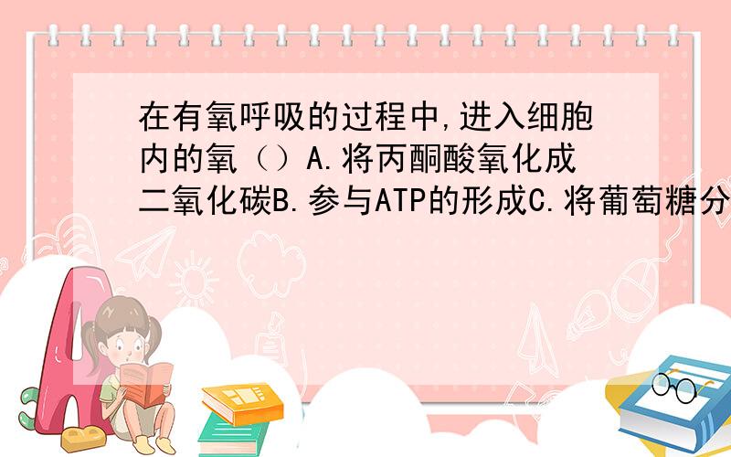 在有氧呼吸的过程中,进入细胞内的氧（）A.将丙酮酸氧化成二氧化碳B.参与ATP的形成C.将葡萄糖分解成丙酮酸D.与氢结合形成水