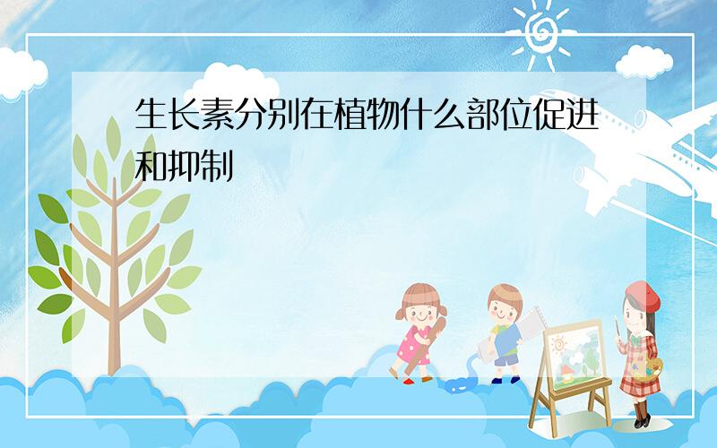 生长素分别在植物什么部位促进和抑制