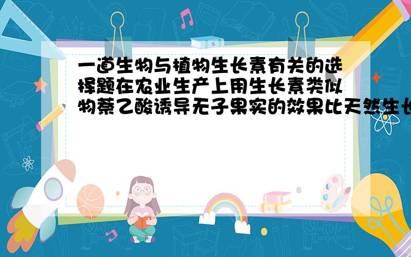 一道生物与植物生长素有关的选择题在农业生产上用生长素类似物萘乙酸诱导无子果实的效果比天然生长素要明显,原因是A萘乙酸成本低,用量大,而吲哚乙酸成本较大,用量少影响效果B萘乙酸