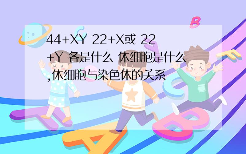 44+XY 22+X或 22+Y 各是什么 体细胞是什么,体细胞与染色体的关系