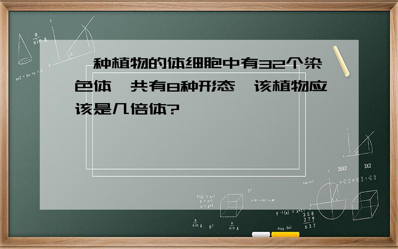 一种植物的体细胞中有32个染色体,共有8种形态,该植物应该是几倍体?