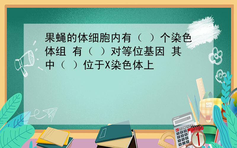 果蝇的体细胞内有（ ）个染色体组 有（ ）对等位基因 其中（ ）位于X染色体上