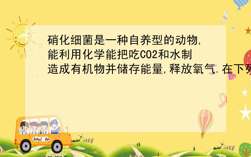 硝化细菌是一种自养型的动物,能利用化学能把吃CO2和水制造成有机物并储存能量,释放氧气.在下列各反应中,能在硝化细菌的细胞器中发生的是 1DNA复制 2翻译 3转录 4 光合作用 5呼吸作用详细