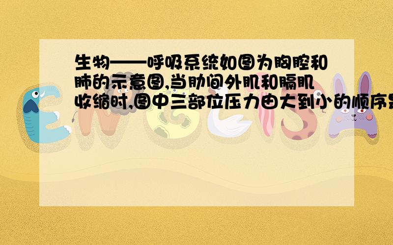 生物——呼吸系统如图为胸腔和肺的示意图,当肋间外肌和膈肌收缩时,图中三部位压力由大到小的顺序是（ ）A.c＞a＞b B.a＞b＞c C.a＞c＞b D.b＞c＞a