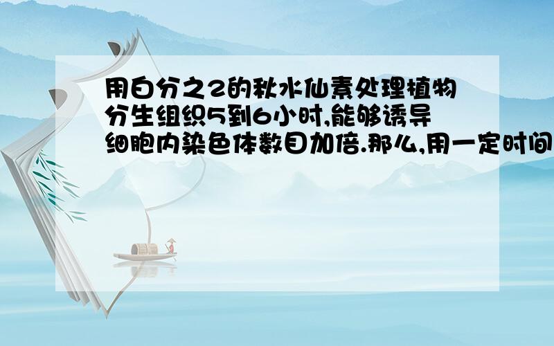 用白分之2的秋水仙素处理植物分生组织5到6小时,能够诱导细胞内染色体数目加倍.那么,用一定时间的低...用白分之2的秋水仙素处理植物分生组织5到6小时,能够诱导细胞内染色体数目加倍.那