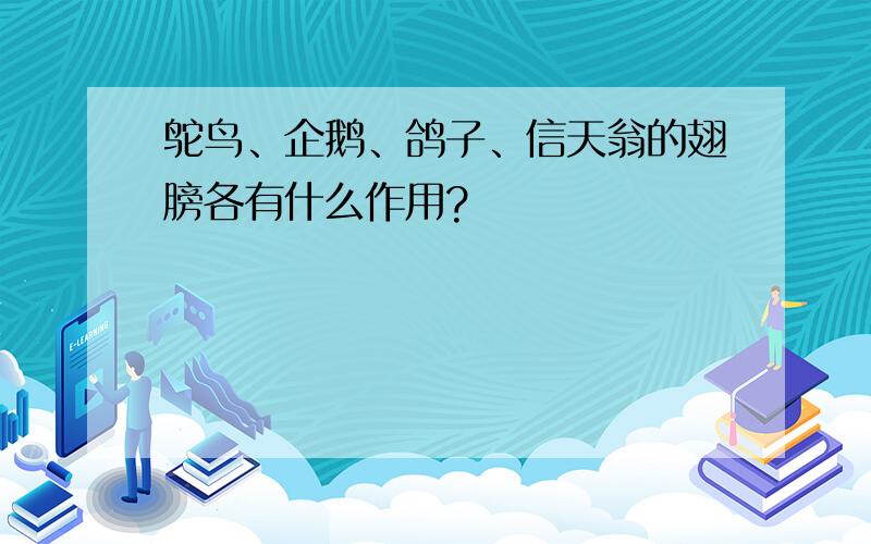 鸵鸟、企鹅、鸽子、信天翁的翅膀各有什么作用?