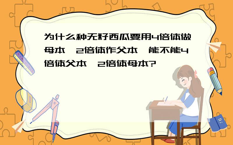 为什么种无籽西瓜要用4倍体做母本,2倍体作父本,能不能4倍体父本,2倍体母本?