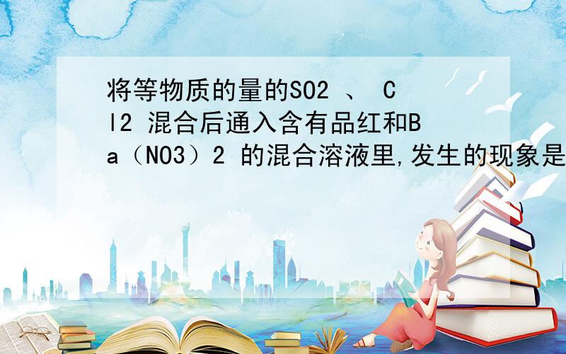 将等物质的量的SO2 、 Cl2 混合后通入含有品红和Ba（NO3）2 的混合溶液里,发生的现象是?将等物质的量的SO2 、 Cl2 混合后通入含有品红和Ba（NO3）2 的混合溶液里,发生的现象是?1、溶液不褪色2