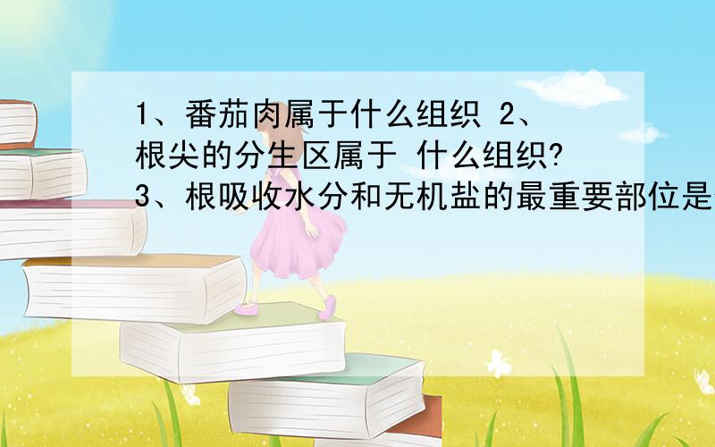 1、番茄肉属于什么组织 2、根尖的分生区属于 什么组织?3、根吸收水分和无机盐的最重要部位是什么?植物生需要量最多的无机盐是什么、什么和什么?4、绿色植物制造的有机物的主要器官是