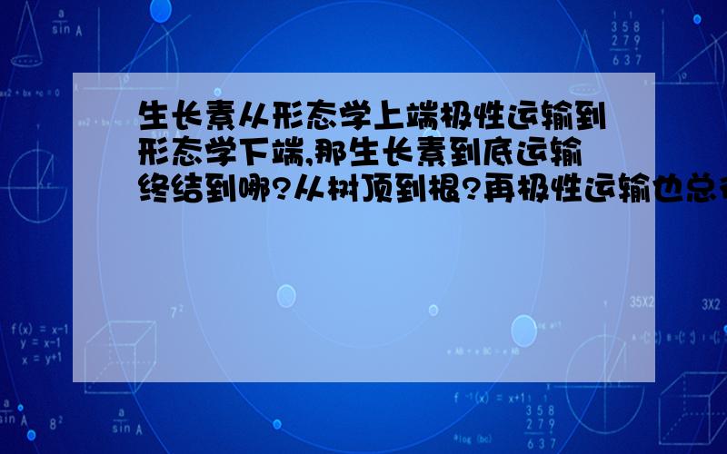 生长素从形态学上端极性运输到形态学下端,那生长素到底运输终结到哪?从树顶到根?再极性运输也总得有个终止的地方吧