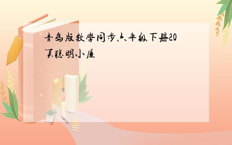 青岛版数学同步六年级下册20页聪明小屋