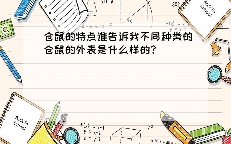 仓鼠的特点谁告诉我不同种类的仓鼠的外表是什么样的?