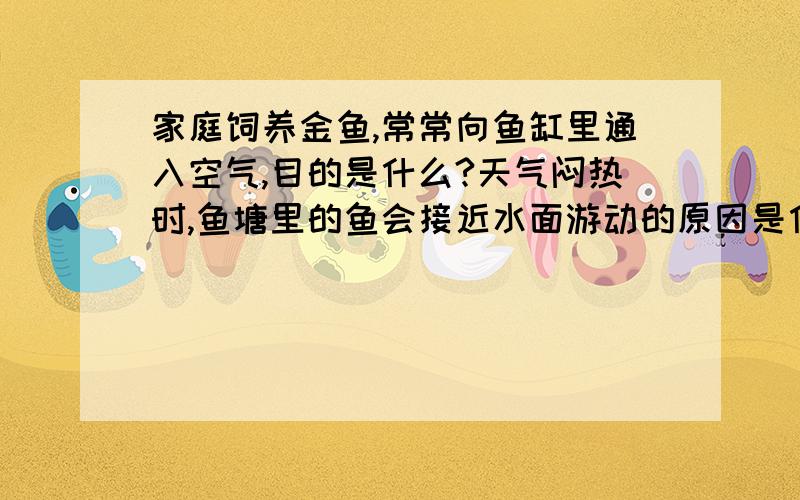 家庭饲养金鱼,常常向鱼缸里通入空气,目的是什么?天气闷热时,鱼塘里的鱼会接近水面游动的原因是什么?