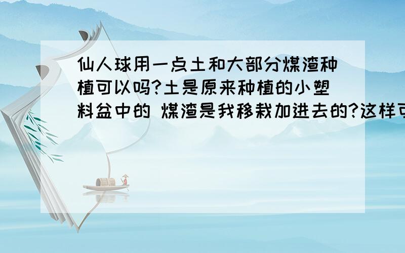 仙人球用一点土和大部分煤渣种植可以吗?土是原来种植的小塑料盆中的 煤渣是我移栽加进去的?这样可以种植仙人球吗?