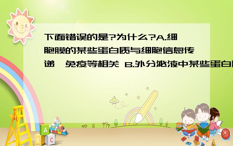 下面错误的是?为什么?A.细胞膜的某些蛋白质与细胞信息传递、免疫等相关 B.外分泌液中某些蛋白质可参与非特异性免疫 C.高尔基体形成的分泌小泡中的某些蛋白质是运载体 D.人体血浆中的抗