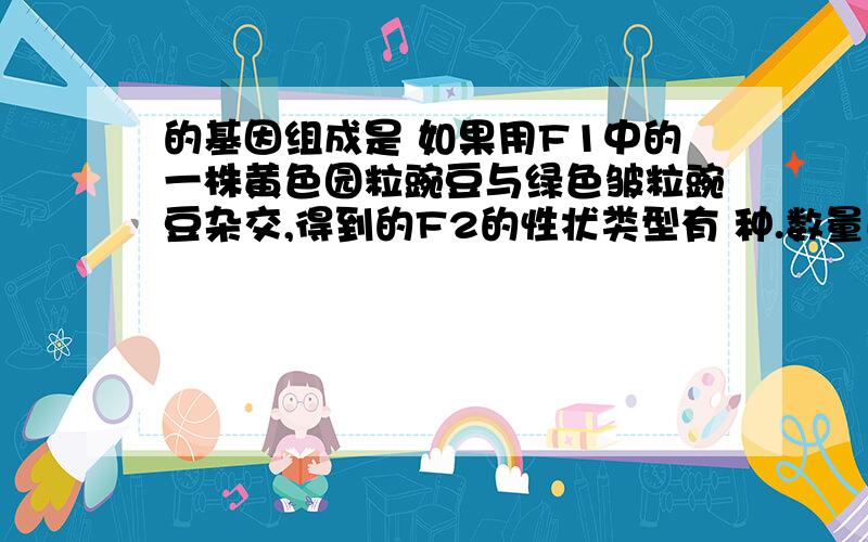 的基因组成是 如果用F1中的一株黄色园粒豌豆与绿色皱粒豌豆杂交,得到的F2的性状类型有 种.数量比为 这里是接着第三问的?麻烦你你了