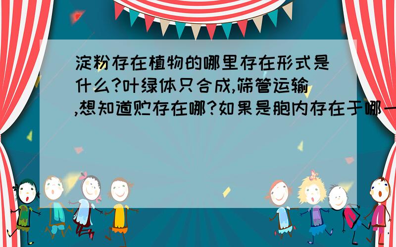 淀粉存在植物的哪里存在形式是什么?叶绿体只合成,筛管运输,想知道贮存在哪?如果是胞内存在于哪一结构?是不是如脂肪以脂肪细胞存在,也有淀粉细胞?