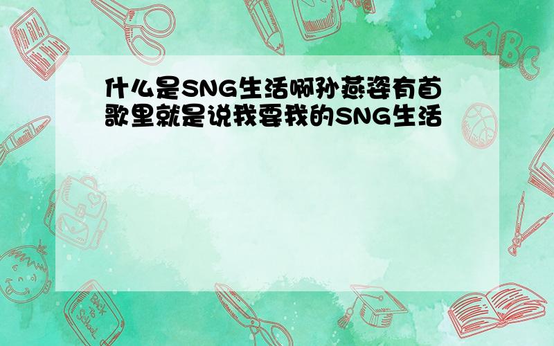 什么是SNG生活啊孙燕姿有首歌里就是说我要我的SNG生活