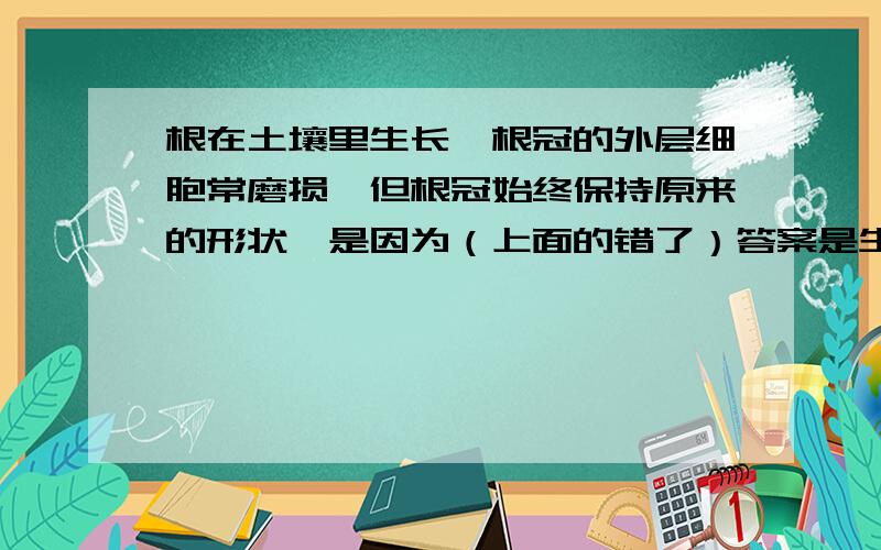 根在土壤里生长,根冠的外层细胞常磨损,但根冠始终保持原来的形状,是因为（上面的错了）答案是生长点细胞的分裂，