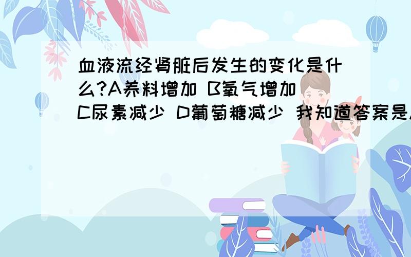 血液流经肾脏后发生的变化是什么?A养料增加 B氧气增加 C尿素减少 D葡萄糖减少 我知道答案是A但血液流经肾脏后发生的变化是什么?A养料增加B氧气增加C尿素减少D葡萄糖减少我知道答案是A但