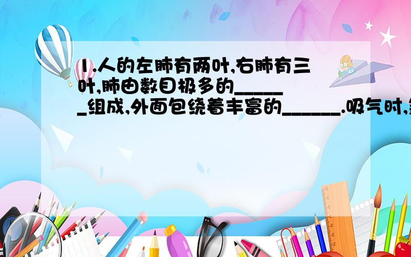 1.人的左肺有两叶,右肺有三叶,肺由数目极多的______组成,外面包绕着丰富的______.吸气时,氧气透过肺泡壁和进入血液；同时,血液中的二氧化碳也透过这毛细血管壁和进入肺泡.所以,肺是有______