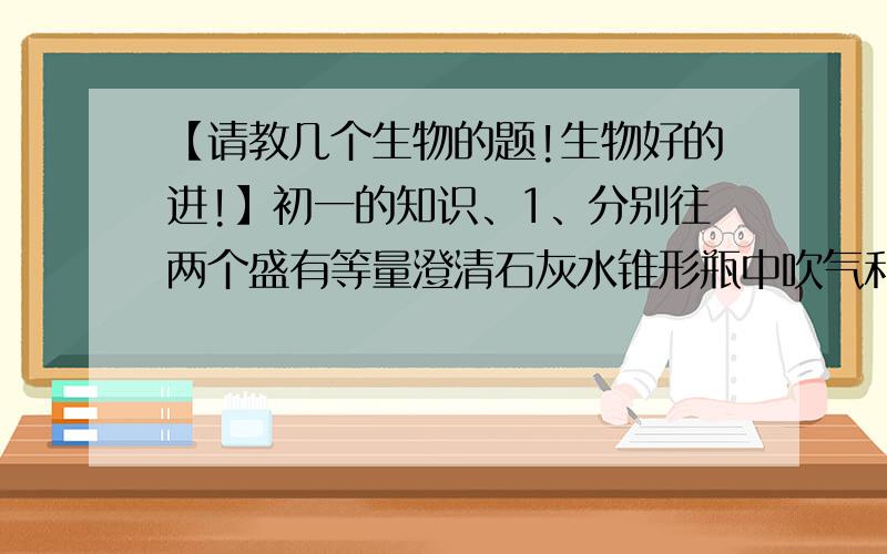 【请教几个生物的题!生物好的进!】初一的知识、1、分别往两个盛有等量澄清石灰水锥形瓶中吹气和吸气,发现吹气的瓶内澄清石灰水先变浑浊,说明＿＿＿＿＿＿＿.2、组织里的气体交换是指