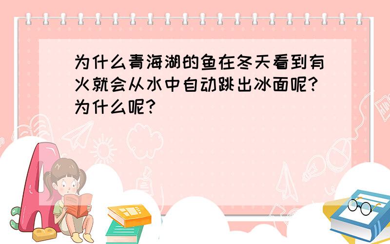 为什么青海湖的鱼在冬天看到有火就会从水中自动跳出冰面呢?为什么呢?