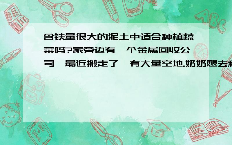 含铁量很大的泥土中适合种植蔬菜吗?家旁边有一个金属回收公司,最近搬走了,有大量空地.奶奶想去种植蔬菜,但是泥土里含铁量非常大,也可能含有其他金属,不知道适不适合种植蔬菜?吃了会