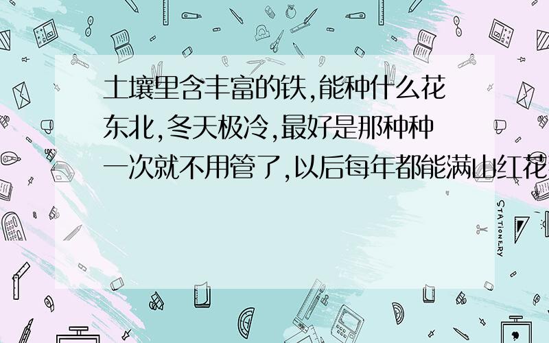 土壤里含丰富的铁,能种什么花东北,冬天极冷,最好是那种种一次就不用管了,以后每年都能满山红花那种要那种远处一望满山“红花”五彩缤纷的效果