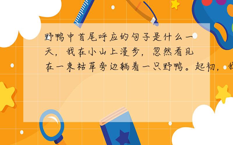 野鸭中首尾呼应的句子是什么一天，我在小山上漫步，忽然看见在一束枯草旁边躺着一只野鸭。起初，我以为这只野鸭是害怕被人发觉，藏在那儿的，我就用手杖拨了她一下，想叫她站起来