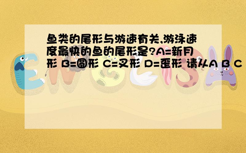 鱼类的尾形与游速有关,游泳速度最快的鱼的尾形是?A=新月形 B=圆形 C=叉形 D=歪形 请从A B C D里选 ,说明理由,太急了,