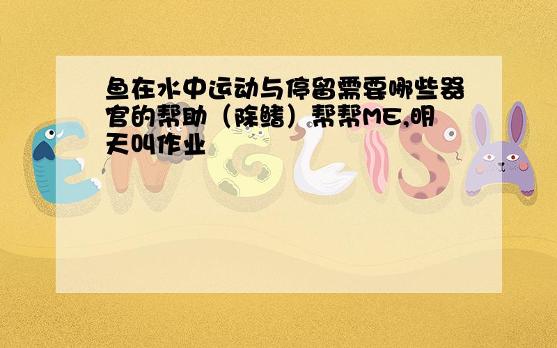 鱼在水中运动与停留需要哪些器官的帮助（除鳍）帮帮ME,明天叫作业