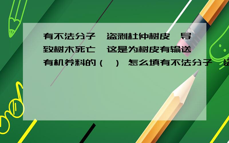 有不法分子,盗剥杜仲树皮,导致树木死亡,这是为树皮有输送有机养料的（ ） 怎么填有不法分子,盗剥杜仲树皮,导致树木死亡,这是为树皮有输送有机养料的（ ） 怎么填a筛管 b导管.c木质部 d.