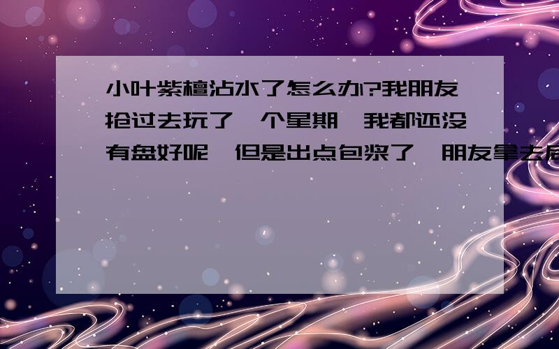 小叶紫檀沾水了怎么办?我朋友抢过去玩了一个星期,我都还没有盘好呢,但是出点包浆了,朋友拿去后没注意,沾水变乌了,真的很生气,有没有可以挽救的办法?