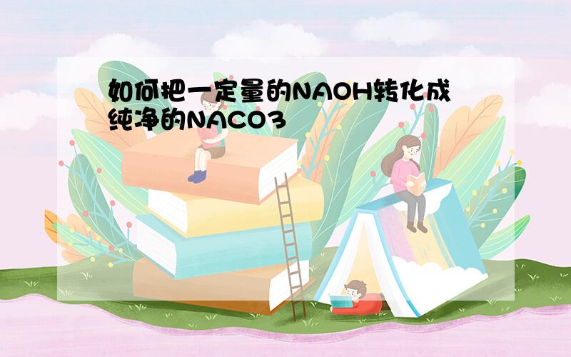 如何把一定量的NAOH转化成纯净的NACO3