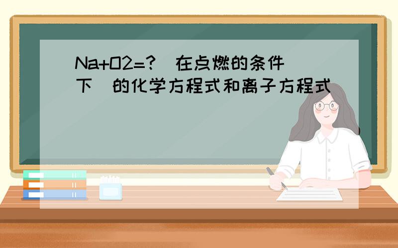 Na+O2=?(在点燃的条件下)的化学方程式和离子方程式