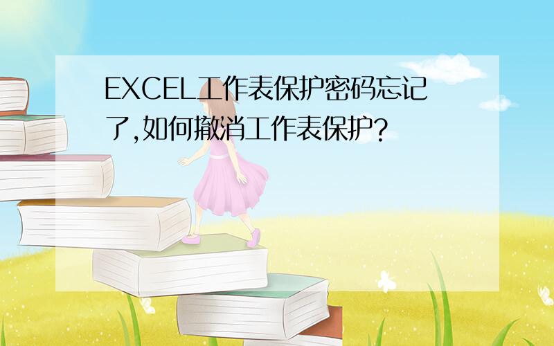 EXCEL工作表保护密码忘记了,如何撤消工作表保护?